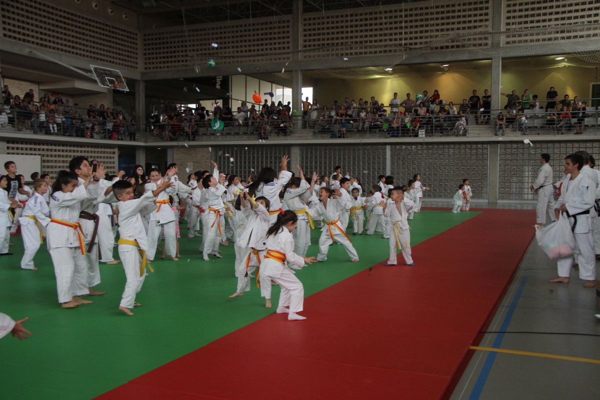 Una divertida tarde de Judo con los m&aacute;s peque&ntilde;os en Pamplona 27-05-17